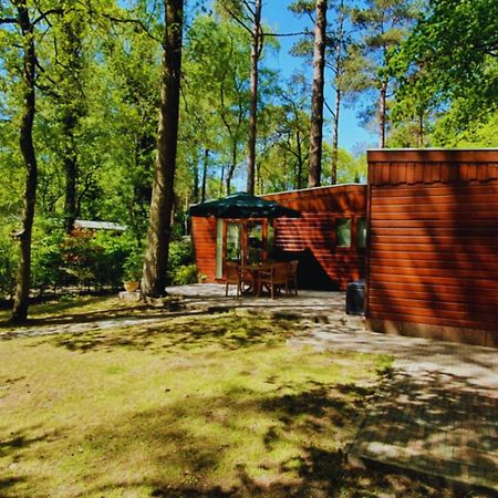 Wooden Nature Chalet - Dennenrhode Doornspijk Villa Ngoại thất bức ảnh