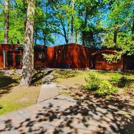 Wooden Nature Chalet - Dennenrhode Doornspijk Villa Ngoại thất bức ảnh