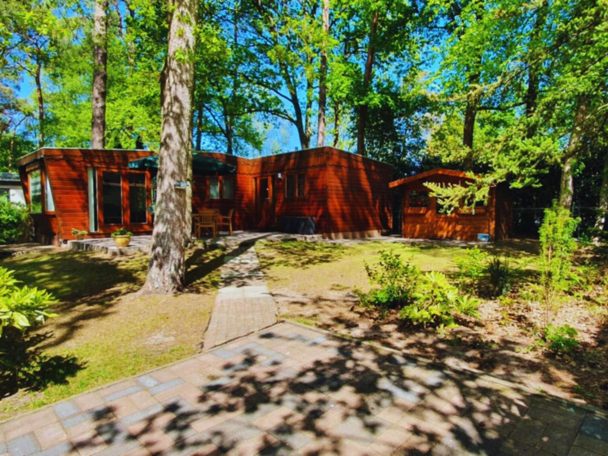 Wooden Nature Chalet - Dennenrhode Doornspijk Villa Ngoại thất bức ảnh