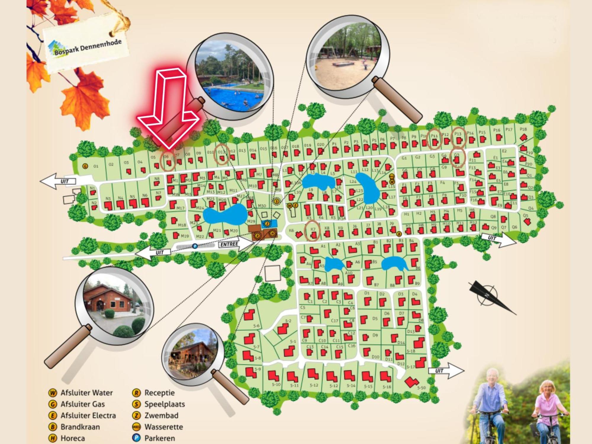 Wooden Nature Chalet - Dennenrhode Doornspijk Villa Ngoại thất bức ảnh